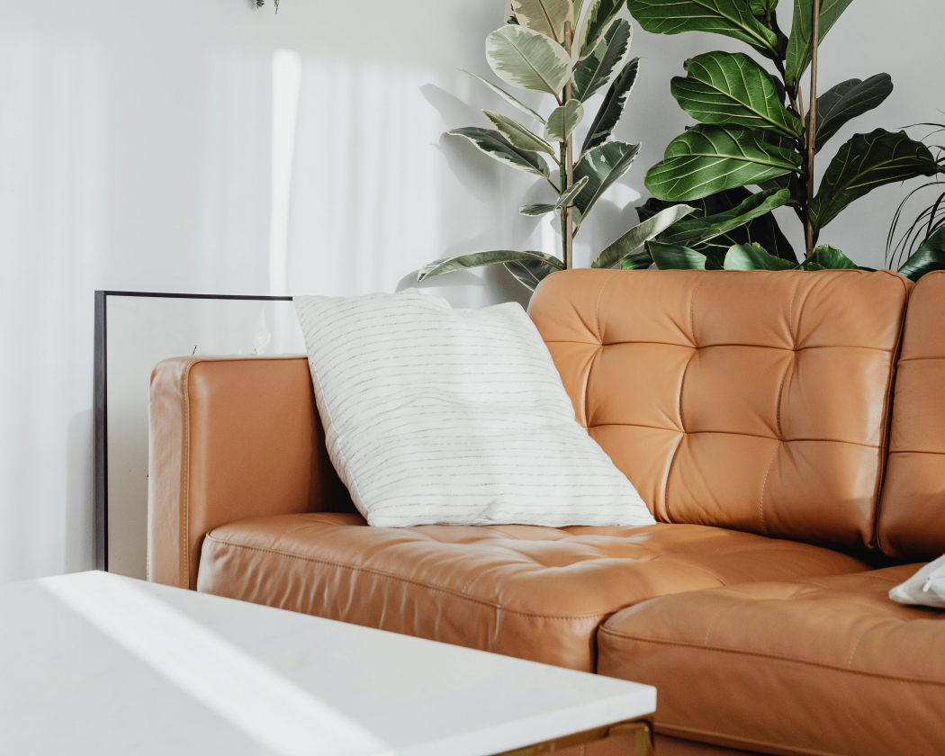 How to properly care for leather and eco-leather upholstered furniture so that it lasts a long time